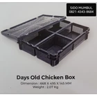 Days Old Chicken Doc Box Keranjang Anak Ayam Sekat 4 2