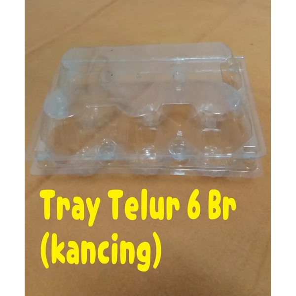 Disposable Mica Egg Tray